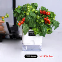 Double-Deck Self-Watering Pot