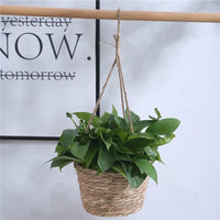 Macrame Jute Rope Plant Hanger