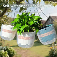 Self-Priming Hanging Pot