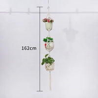 Macrame Plant Hanging Basket
