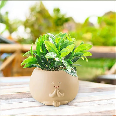 Face Hanging Head Planter