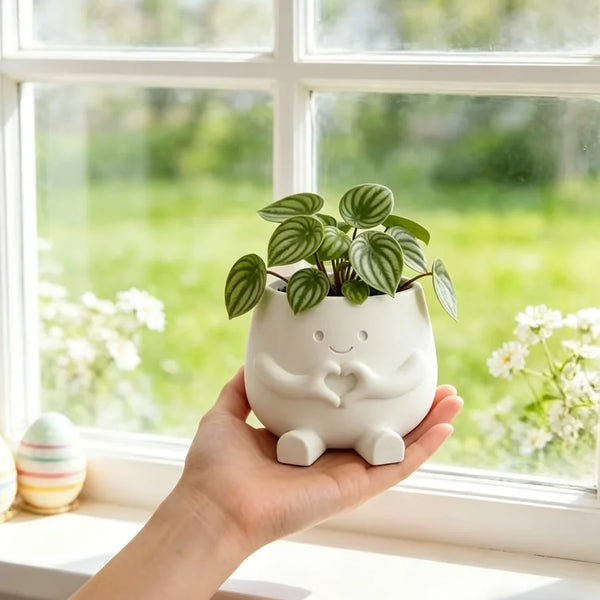 3D Printed Succulent Planter