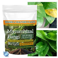 Plant Growth Fertilizer 100g