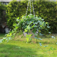 Outdoor Hanging Flower Pots 2pcs