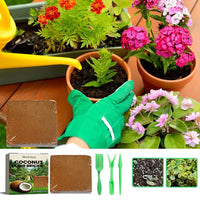 Organic Coconut Coir Brick