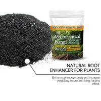 Plant Growth Fertilizer 100g