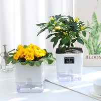 Double-Deck Self-Watering Pot