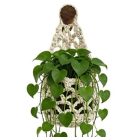 Boho Macrame Hanging Basket