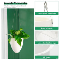 Egg Shape Hanging Flower Pot