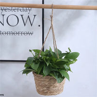 Macrame Jute Rope Plant Hanger