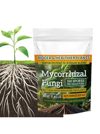 Plant Growth Fertilizer 100g
