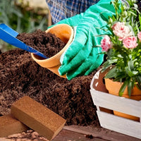 Compressed Coconut Coir Brick