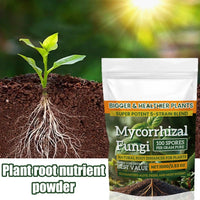 Plant Growth Fertilizer 100g