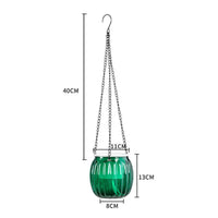 Self-Absorbing Hanging Plastic Planter